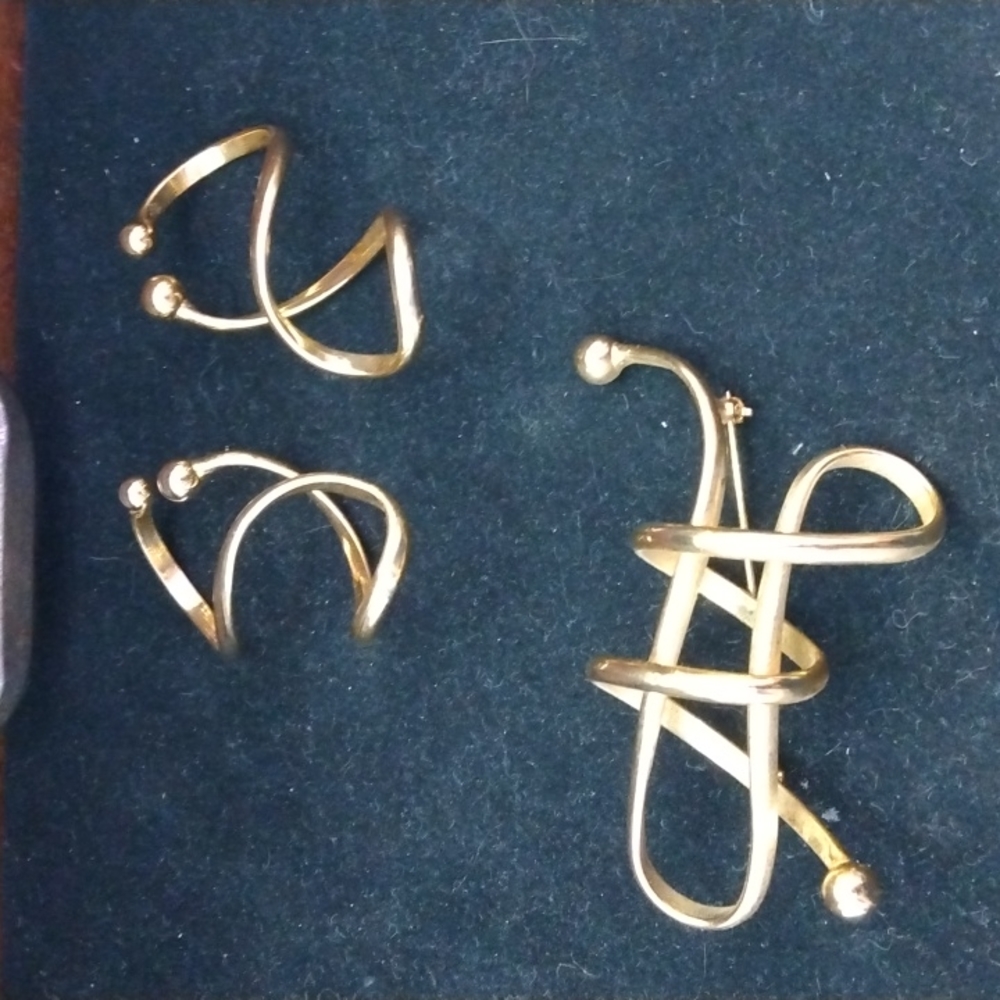 Freeform brooch and earrings